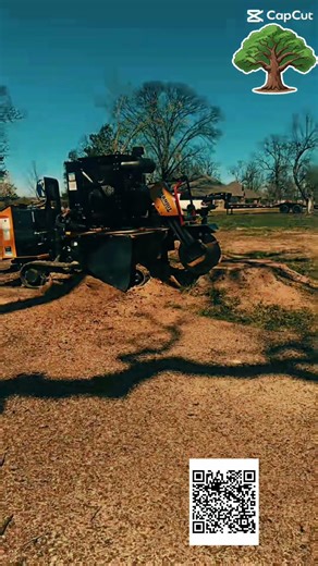 🌳 Need tree work? Alpine Tree Service of NWA offers professional removal call or text 479 295-4174