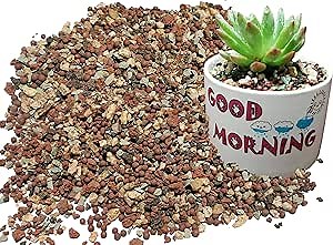 KR. LIF Bonsai Succulent Soil Potting Mix Ready to use Azalea Bonsai Soil Decorative Soil Cover for Succulent Cactus 2.2LB Bonsai Potting Potting Soil, red