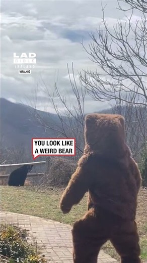 Man in Bear Suit Scares Off a Real Black Bear 😂🐻