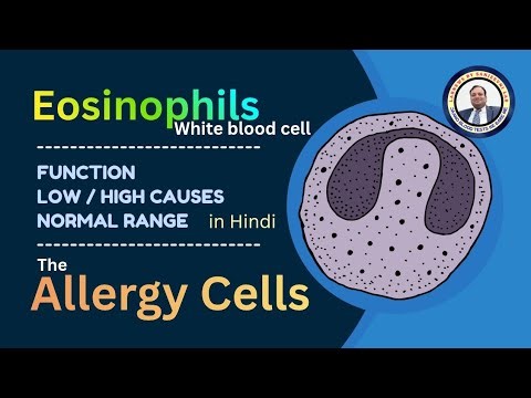Eosinophils - The Allergy cells : Normal Range, High & Low Causes, and Functions | CBC/DLC Report