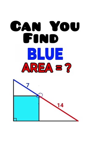Can You Solve This Viral 7, 14, and Blue Area Math Problem? I #geometry