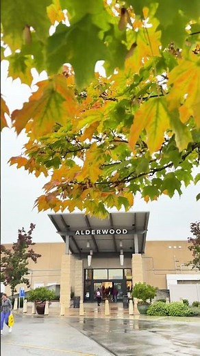 Chasing Fall Colors in Lynnwood Washington