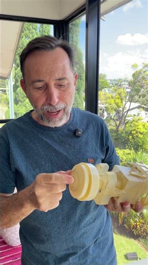 Dual Flush Caroma / Fowler Toilet Cistern #shorts #plumbing