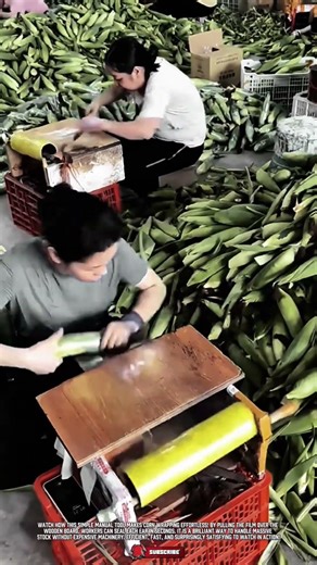 Simple corn wrapping tool makes warehouse packing faster and much more efficient