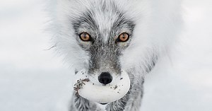 These stunning wildlife photos are on show at Beverley