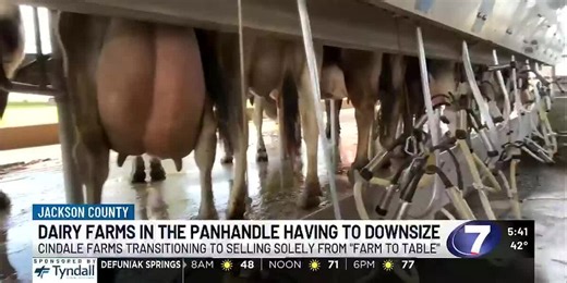 Local dairy farm downsizes amid industry challenges
