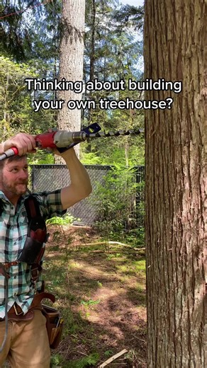How to Build a DIY Treehouse in Your Backyard