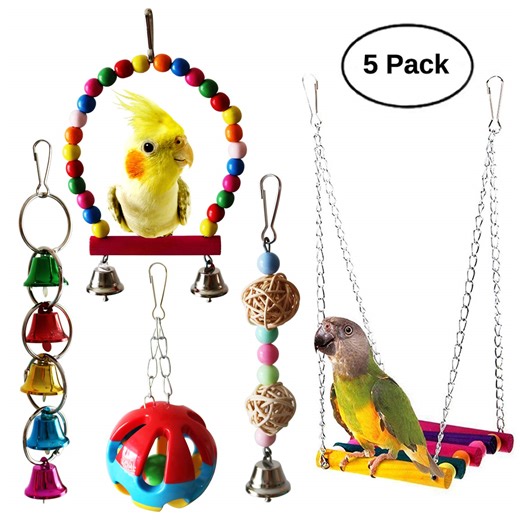 Get Your Budgie These 6 Essentials and They'll Literally Say Thank You