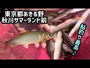 【東京都あきる野市】秋川サマーランド前で鮎釣り