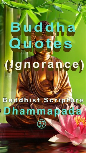Dhammapada (37) | Buddha's Teachings Explained | A Classic Scripture of Early Buddhism #shorts
