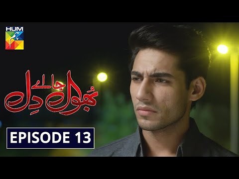 Bhool Jaa Ay Dil Episode 13 HUM TV Drama 2 December 2020