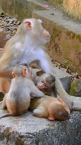 3.6K views · 173 reactions | Ooh suddenly Rainbow crying as angry Libby! what's real happening? | Good Or Bad | Facebook