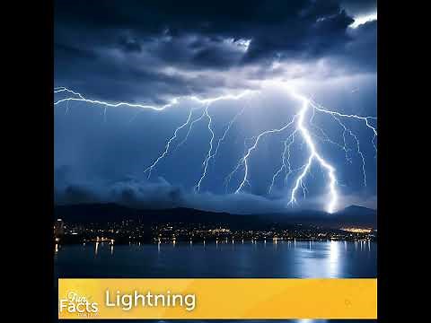 Fun Facts About Lightning