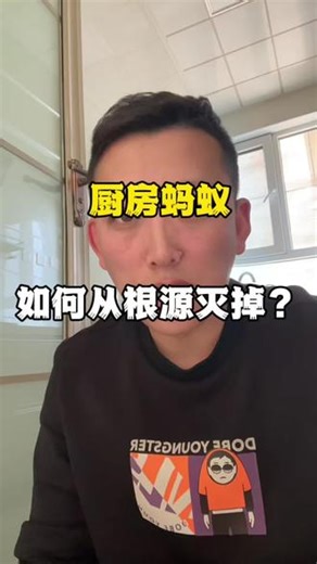 厨房都是蚂蚁，如何从根源上灭蚂蚁？ 家里有蚂蚁怎么彻底消除蚂蚁怎么消灭最快方法家庭家里有小蚂蚁怎么彻底消除蚂蚁药小黄家蚁#驱虫的妙招 #蚂蚁药 #灭蚂蚁 #消杀用品 #除蚂蚁,厨房蚂蚁根治- 抖音
