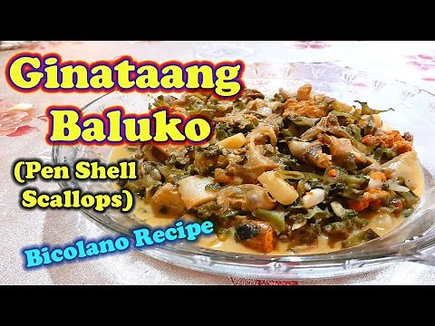 Ginataang Baluko | Pen Shell in Coconut Milk Scallops Recipe