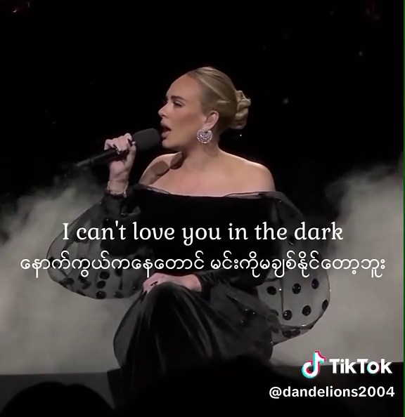 Love in the dark 😊😊#adele #song #mmsub #fyp #foryou #lion
