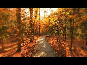 fall vibe playlist)) autumn playlist