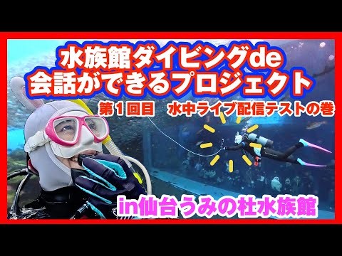 水族館ダイビングで会話が出来るプロジェクト！第一回目は水中ライブ配信テストの巻！！