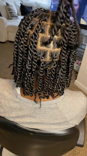 Natural 2 Strand Twist Braids for Black Women