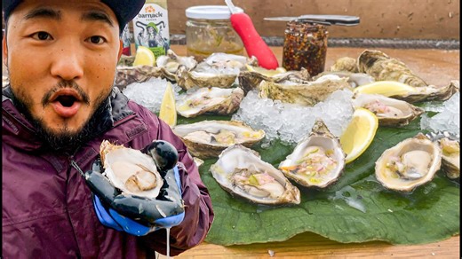 Delicious Raw Alaskan Oysters 🦪