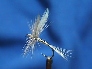 Beginner Fly Tying a Blue Quill with Jim Misiura