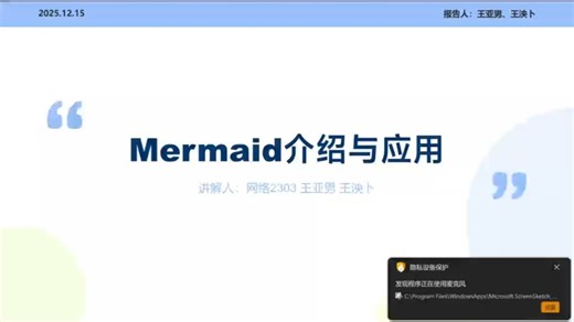 Mermaid介绍与应用
