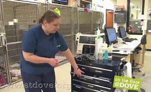 Sorry, we have encountered a problem. - Alexander Street, a ProQuest Company