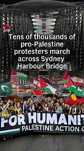 Tens of thousands of pro-Palestinian protesters, including WikiLeaks founder Julian Assange, braved the rain as they marched across Australia's Sydney Harbour Bridge on Sunday (Aug 3) to call for peace and aid deliveries in the war-torn Gaza strip. Australia has called for an end to the ongoing war in Gaza but has so far stopped short of a decision to recognise a Palestinian state. #australia #australianews #sydney | CNA