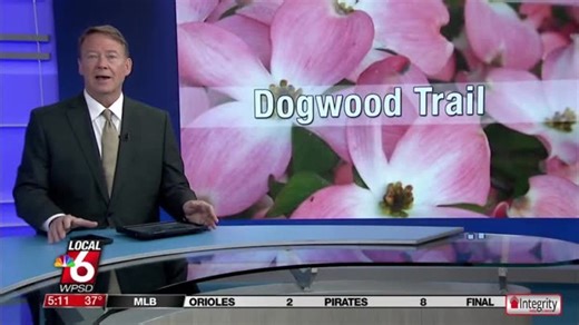 Annual Dogwood Bike Ride next weekend | Haystack News