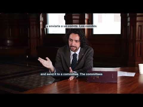 How an Ordinance Becomes Law