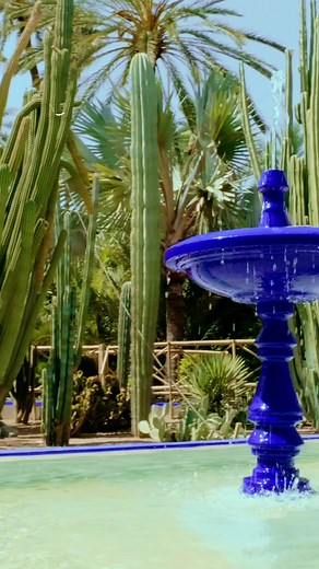 The gardens in Morocco are next level. 😱🌴#visitmorocco #travelmorocco #majorellegarden
