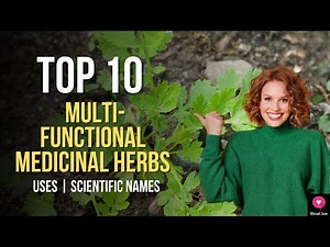 Top 10 MULTI-FUNCTIONAL Medicinal Herbs | Medicinal Plants You Can Grow At Home | BlissedZone