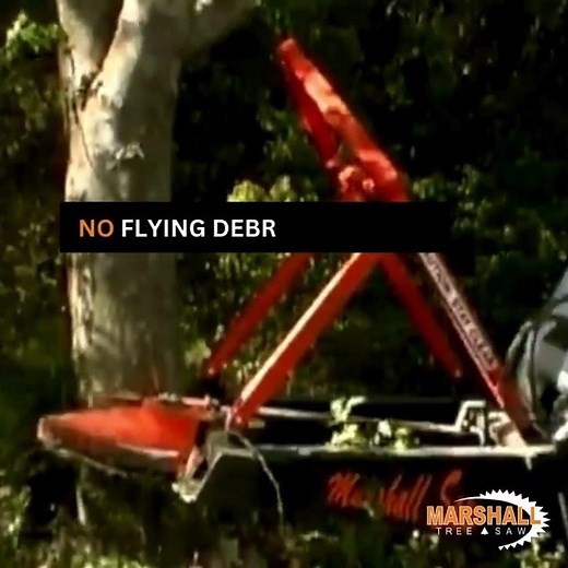 YES, these trees are cut in REAL TIME!