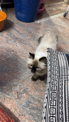 Arathi Rao on Instagram: "😂😂"