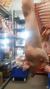 704K views · 4.1K reactions | Pork neck樂 . . . #pork #butcher #butchershop #meat #food #porkscotch #pig #notfromapacket #notvegan #carnivore #themoreyouknow #collarbutt #jarrydthebutcher | Jarryd The Butcher | Facebook