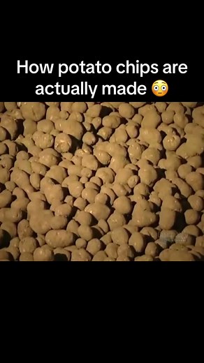 Potato Chips: From Farm to Bag in 15 Minutes