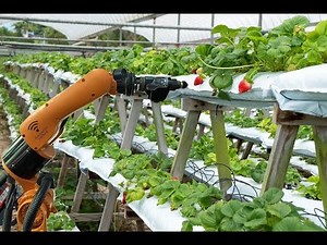 Revolutionizing Farming with Agricultural Robotics (4 Minutes)