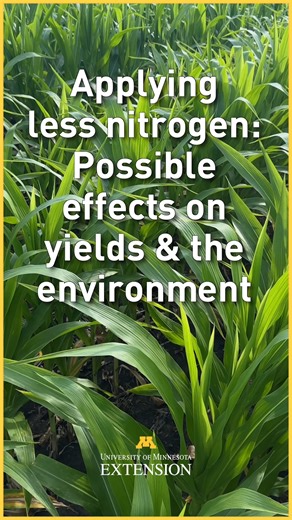 www.cornnratecalc.org | UMN Extension Nutrient Management