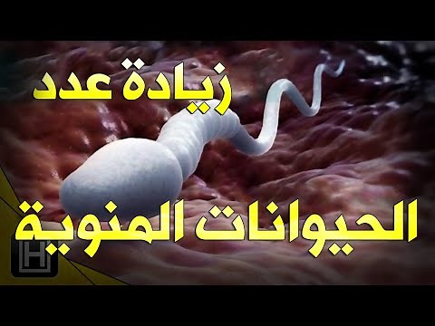 زيادة عدد الحيوانات المنويه وتقويتها بأفضل تسعة أطعمة