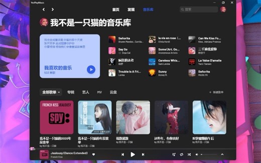 原来电脑还有这么好看的播放器啊