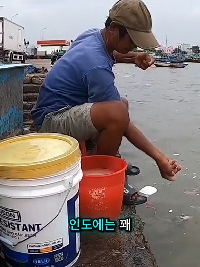 간단한 병 낚시법: 플라스틱 병과 밀가루로 시작하기