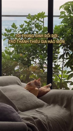 Có công nịnh bợ có ngày giống Mai Hoa 😆 #vanmaihuong #maihoa #fyp | cute cat