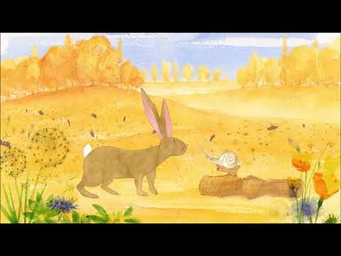 CBeebies/CBBC - Poppies (11.11.2024 Broadcast)