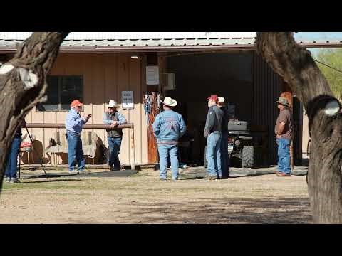 Mule Saddle Myths Busted: Fit, Rigging & Everything You’ve Been Told Wrong