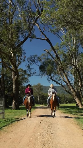 16 reactions | Walk through: 531 Pages River Road, Murrurundi  4 beds, 3 baths, 2 cars | 2,004 acres. Proudly presented by @michael_burke_mcgrath @mcgrath_upper_hunter | McGrath Rural | Facebook