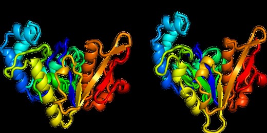 Google details its protein-folding software, academics offer an alternative
