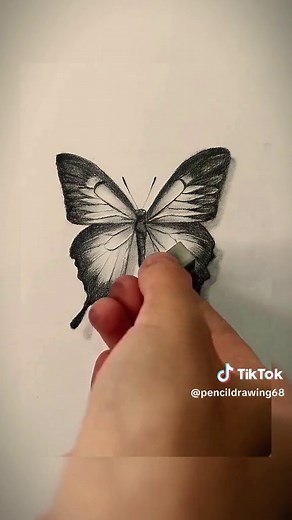 ❤️✏️ How to draw a butterfly | Pencil Drawing #pencildrawing #pencilart #drawing #drawingtutorial #howtodraw #sketch #art
