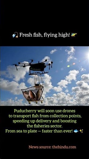 🎣 Fresh fish, flying high! 🚁