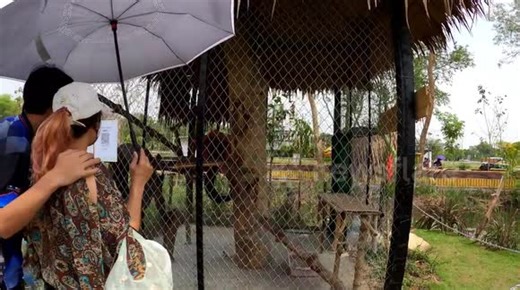 Walk around this new mini zoo that opened in Thailand
