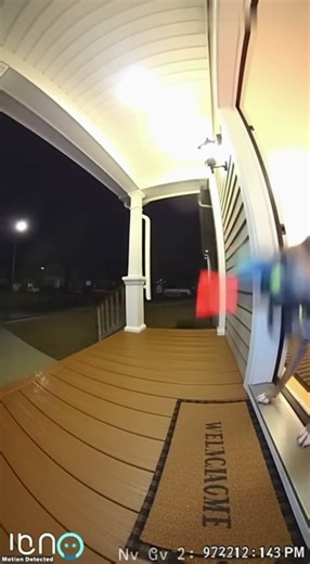 DOG Chases Package THIEF With PAINTBALL Marker #shortsfeed #sora2 #glitter #funny #viral
